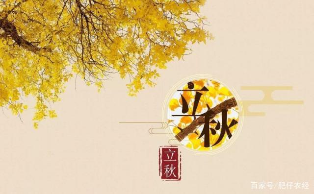 今年立秋是几月几号