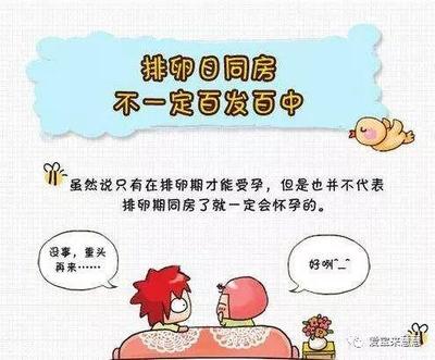 排卵期需要注意什么