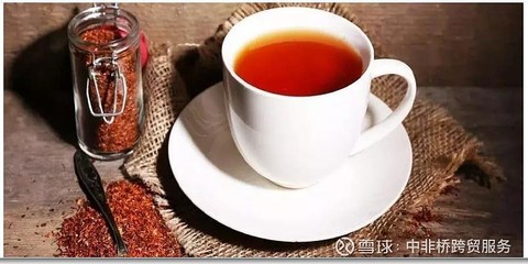博士茶的功效与作用