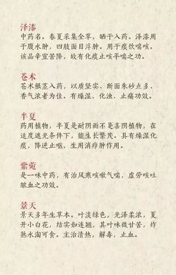 取名诗经楚辞