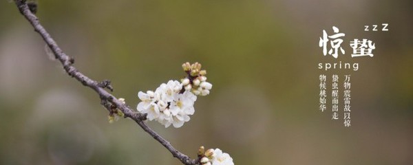 春天蕴含着什么的寓意