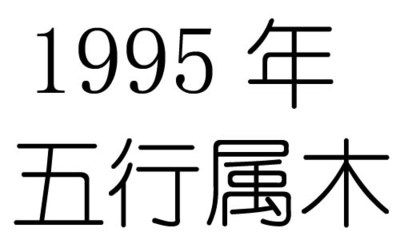 1995年五行属什么命