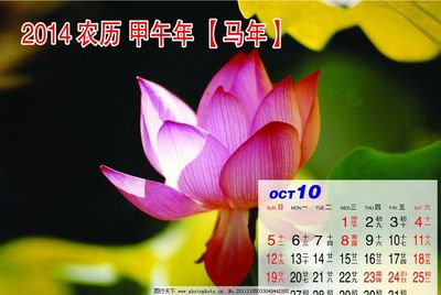 阴历10月15