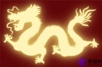 属龙的什么命