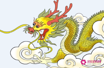 妈妈属龙宝宝属龙好吗