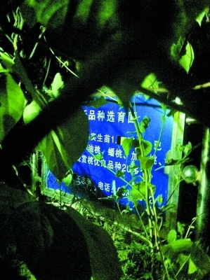 案件定性是哪个部门