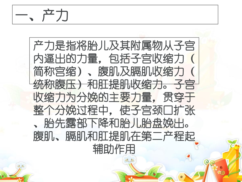 胎儿附属物包括