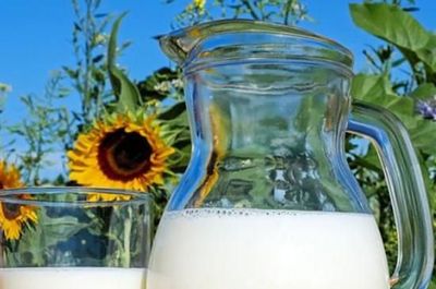 过期的牛奶有什么用可以浇花吗
