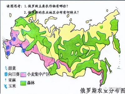 世界十大主要粮食作物