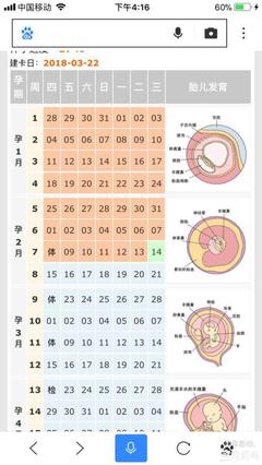 怀孕几周到预产期