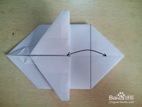 请你播放折纸飞机教程下载