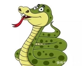看到蛇是不是运气不好