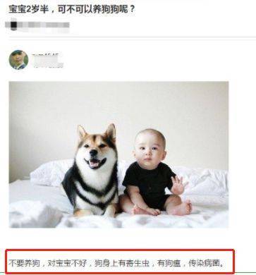 怀孕几个月开始动
