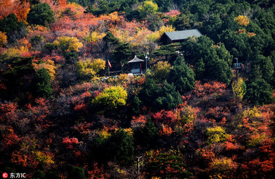 北京香山附近景点