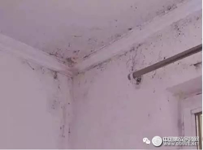 如何防止吊顶被虫蛀