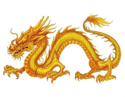 属龙跟什么属相不合