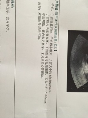 怀孕胚芽是什么意思