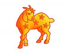 羊今年多大了