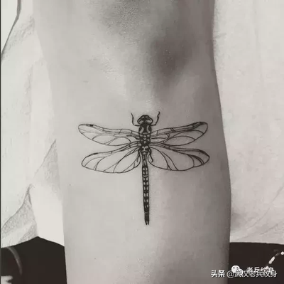 蜻蜓寓意和象征