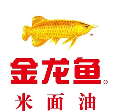 什么樣的魚種比較好養(yǎng) 觀賞魚論壇