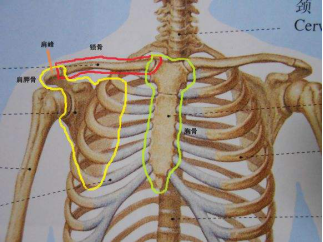 后肋骨疼是怎么回事