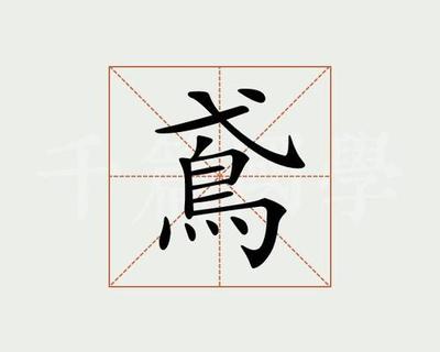 带鸢的女孩名字