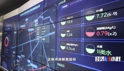 a级验船师报名条件