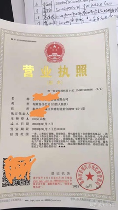 营业执照起名字大全