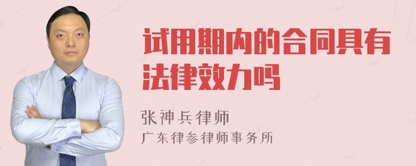 试用期合同有法律效力吗