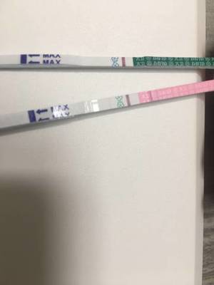 月经多久是排卵期