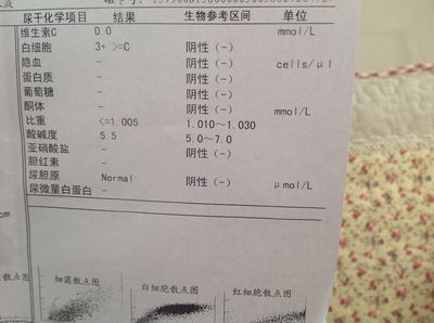 3个月婴儿白细胞正常值