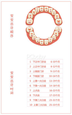 宝宝出牙顺序图