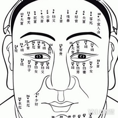 男人额头短的人命运