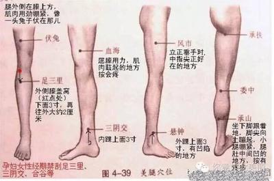 敲胆经可以瘦腿吗