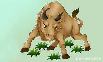 属牛的今年运气怎么样