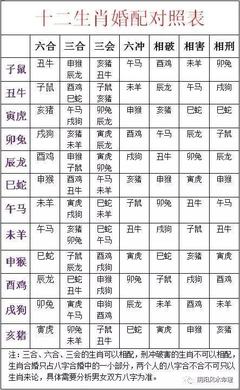 96年什么生肖