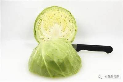 白菜对痘痘