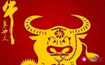 属牛的今年幸运色