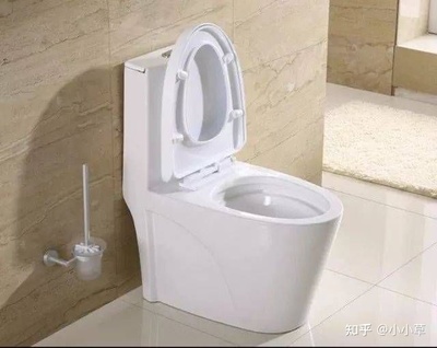 为啥叫马桶