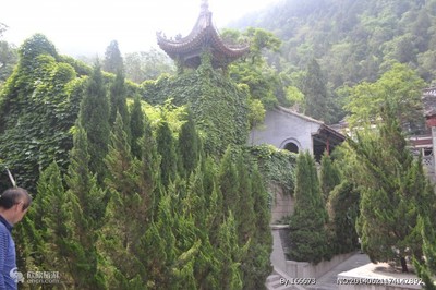 合肥到西安兵马俑 华山旅游攻略