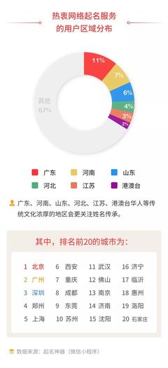 什么叫网易用户