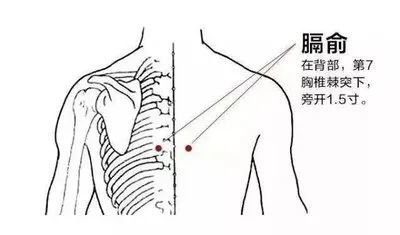 后背脊柱两侧发痘痘
