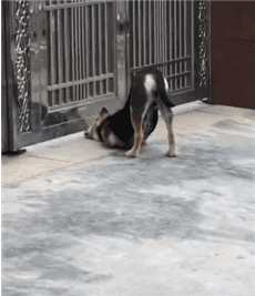 贪玩怎么进不去