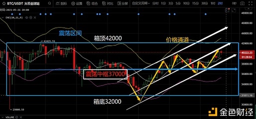 耽美动多少钱斤