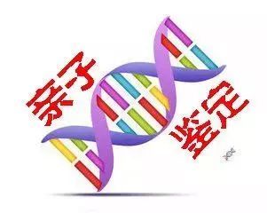 必博体育手机版官方登录网站相关图片性能跑分