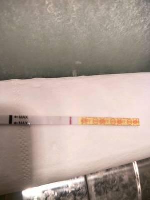 大姨妈前七天会怀孕吗