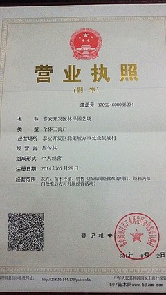 泰安代办营业执照