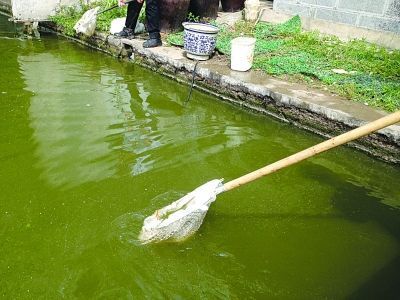 厨房污水管排放