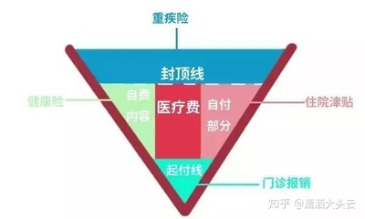 懂和理解的区别