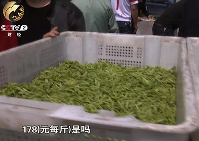 安吉白茶市场在哪里